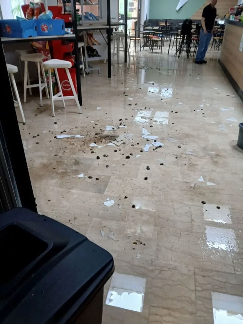 Ιωάννινα: Ισχυρή χαλαζόπτωση προκάλεσε προβλήματα και ζημιές ΒΙΝΤΕΟ-ΦΩΤΟ 29 Ζημιές στο Πανεπιστήμιο Ιωαννίνων