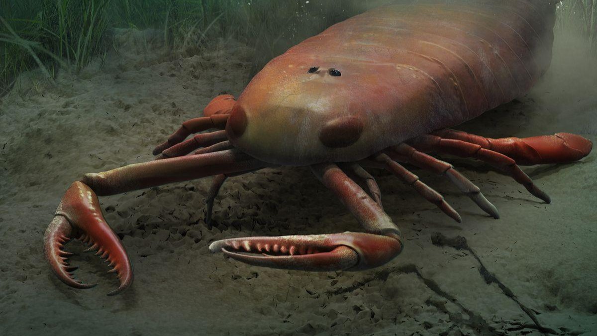 Praearcturus gigas: Ο μεγαλύτερος σκορπιός που έζησε ποτέ στ