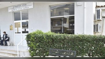 Εύβοια: Νεκρή 21χρονη μετά από τσίμπημα σφήκας