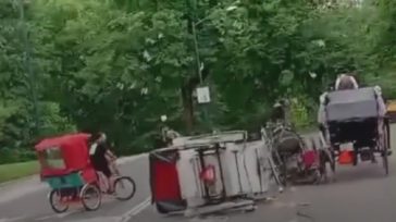 Νέα Υόρκη: Νεκρός 18χρονος τουρίστας μετά από ξέφρενη κούρσα αλόγου στο Σέντραλ Παρκ – Βίντεο