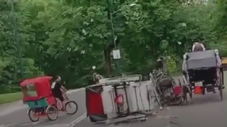 Νέα Υόρκη: Νεκρός 18χρονος τουρίστας μετά από ξέφρενη κούρσα αλόγου στο Σέντραλ Παρκ – Βίντεο Νέα Υόρκη: Νεκρός 18χρονος τουρίστας μετά από ξέφρενη κούρσα αλόγου στο Σέντραλ Παρκ – Βίντεο