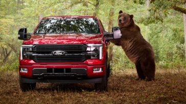Γιατί η Ford ζήτησε από μια αρκούδα 360 κιλών να επιτεθεί σε ένα F-150; Ο λόγος θα σας εκπλήξει (Βίντεο)