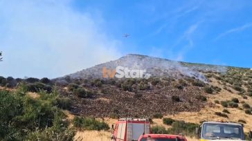 Μαίνεται η φωτιά στον Ορχομενό Βοιωτίας