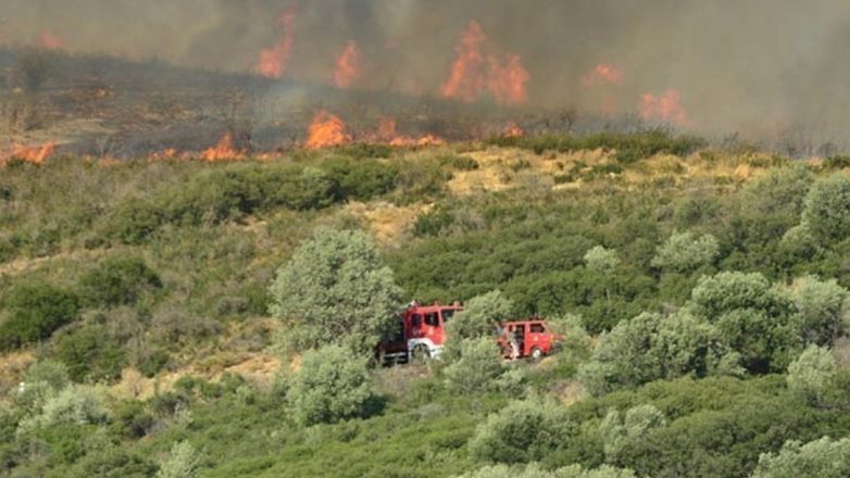 Γρεβενά: Υπό έλεγχο η πυρκαγιά στη θέση «Αβγό», στη Βάλια Κάλντα
