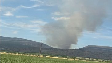 Σε εξέλιξη πυρκαγιά στον Ορχομενό Βοιωτίας