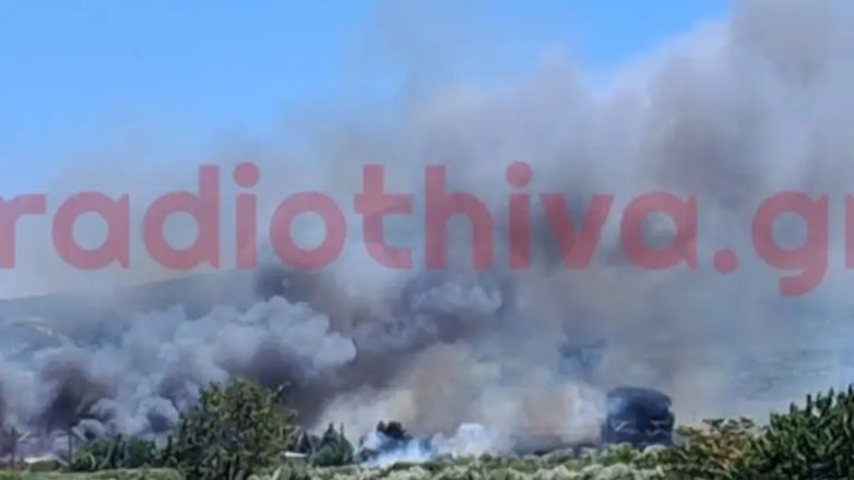 Φωτιά στην Πέτρα Βοιωτίας: Στις αυλές σπιτιών οι φλόγες – Mήνυμα από το112 Φωτιά στην Πέτρα Βοιωτίας: Στις αυλές σπιτιών οι φλόγες – Mήνυμα από το112