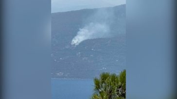 Πυρκαγιά σε δασική έκταση στο Αμόνι Κορινθίας