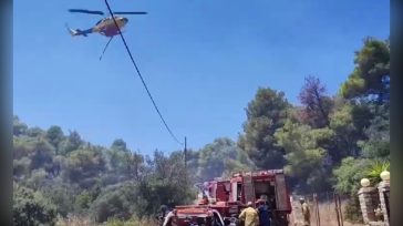 Σε ύφεση η πυρκαγιά στο Πευκάλι Κορινθίας