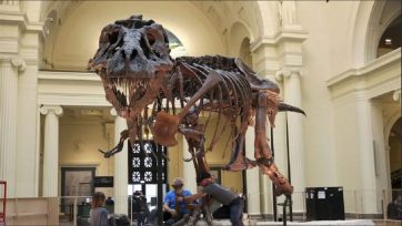 Σκελετός του T-Rex θα πωληθεί με ποσό-ρεκόρ σε δημοπρασία στη Νέα Υόρκη