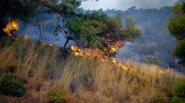 Οριοθετήθηκε η φωτιά στην Καβάλα