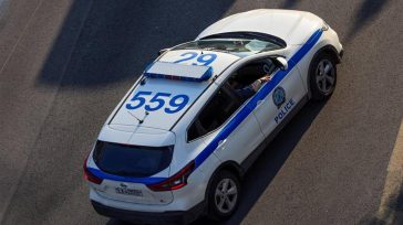 Καστοριά: Αστυνομικός υπέστη αλλεργικό σοκ μετά από τσίμπημα σφήκας