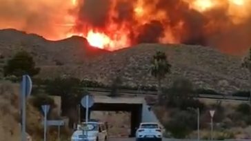 Ισπανία: 12 νεκροί από πυρκαγιά στην Ανδαλουσία