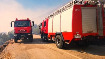 Θεσσαλονίκη: Χωρίς ενεργό μέτωπο η πυρκαγιά στα Υψώματα Διαβατών