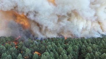 Φωτιά στο ιστορικό δάσος του Φονταινεμπλώ στο Παρίσι