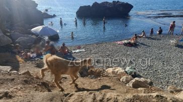 Χανιά: Κατσικάκι έκλεψε την παράσταση στην παραλία Ραβδούχα