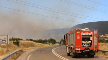 Περιορίστηκε η φωτιά στον Ταρσό Βοιωτίας