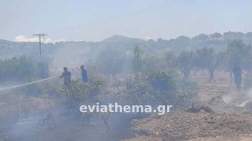 Φωτιά στο Αλιβέρι Εύβοιας – Εκκενώνεται ο Προφήτης Ηλίας