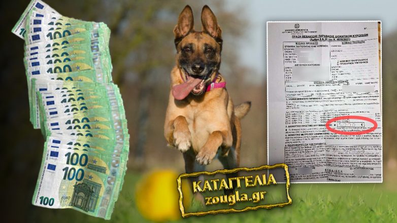 Αυτόφωρο και πρόστιμο 5.000 ευρώ επειδή του… έκλεψαν τον σκύλο Αυτόφωρο και πρόστιμο 5.000 ευρώ επειδή του… έκλεψαν τον σκύλο