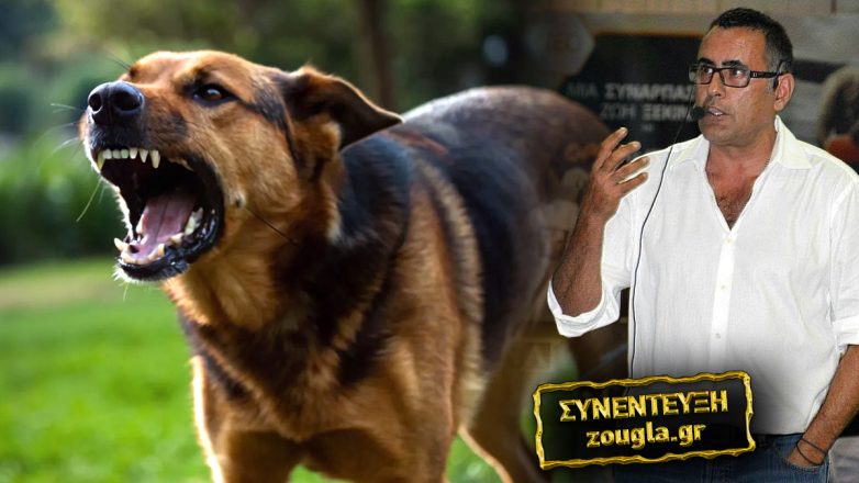 Επίθεση σκύλου στα Βριλήσσια: «Ο ιδιοκτήτης είναι υπεύθυνος, όχι το ζώο» Επίθεση σκύλου στα Βριλήσσια: «Ο ιδιοκτήτης είναι υπεύθυνος, όχι το ζώο»