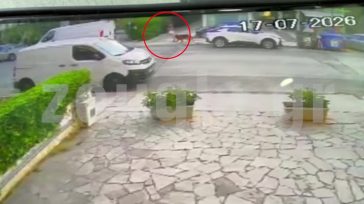 Βριλήσσια: Η κόρη της ιδιοκτήτριας απομακρύνει το λυκόσκυλο