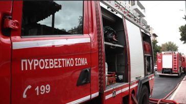Χωρίς ενεργό μέτωπο η φωτιά στον Δήμο Δέλτα της Θεσσαλονίκης
