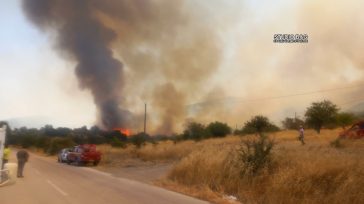 Πυρκαγιά στην Επίδαυρο: Ενισχύθηκαν οι πυροσβεστικές δυνάμεις