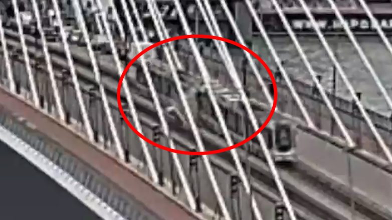Βίντεο από σύγκρουση τραμ σε γέφυρα στο Ρότερνταμ