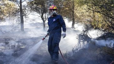 Ρέθυμνο: Πυρκαγιά σε αγροτολιβαδική έκταση στον Μυλοπόταμο