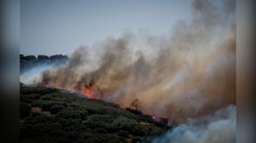 Θεσσαλονίκη: Χειροπέδες σε 51χρονο για εμπρησμό από αμέλεια στο Δερβένι
