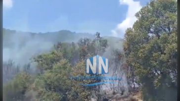 Μεγάλη φωτιά σε Ανθόφυτο και Παλαιόπυργο Ναυπακτίας