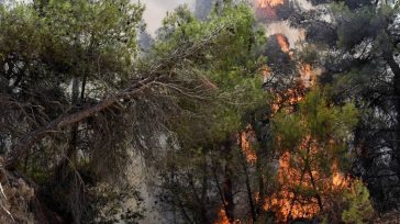 Πυρκαγιά στην Κινέτα