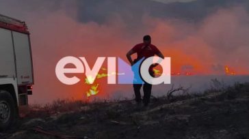 Φωτιά σε δασική έκταση
