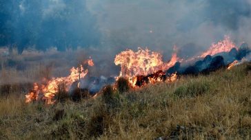 Νέα αναζωπύρωση της πυρκαγιάς στην Πάρο