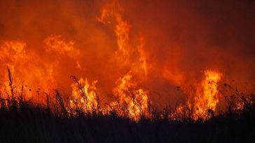 Πύρινος εφιάλτης χωρίς επιστροφή