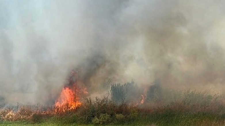 Χωρίς ενεργό μέτωπο η πυρκαγιά στην Άρτα Χωρίς ενεργό μέτωπο η πυρκαγιά στην Άρτα