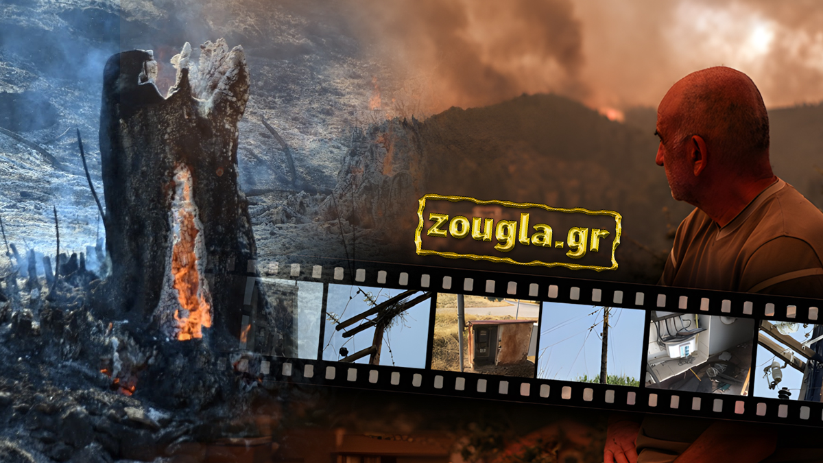 ΔΕΔΔΗΕ: Ο μεγάλος ένοχος για τις φωτιές
