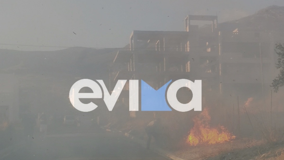 Εύβοια: Μεγάλη πυρκαγιά στην Κάρυστο