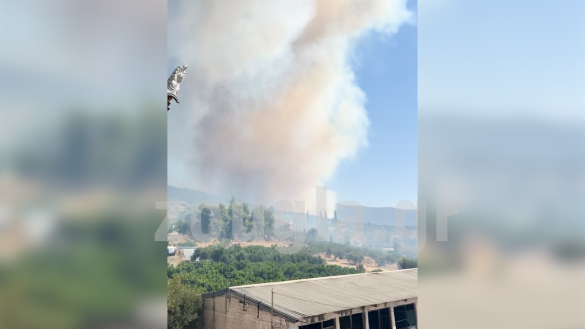 Φωτιά στα Φίχτια Αργολίδας κοντά στις Μυκήνες – Μήνυμα του 112