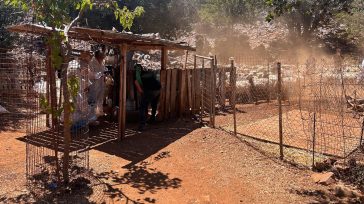 ΑΑΔΕ: 195 κτηνοτρόφοι ελέγχθηκαν στην Κρήτη για αγροτικές επιδοτήσεις