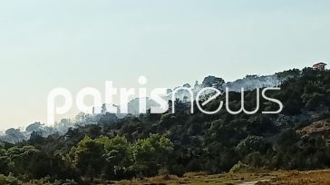 Πυρκαγιά σε δασική έκταση στο Κουνουπέλι Ηλείας