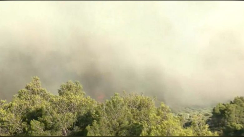 Σε εξέλιξη η φωτιά στις Νεραντζιές στο Αίγιο Σε εξέλιξη η φωτιά στις Νεραντζιές στο Αίγιο