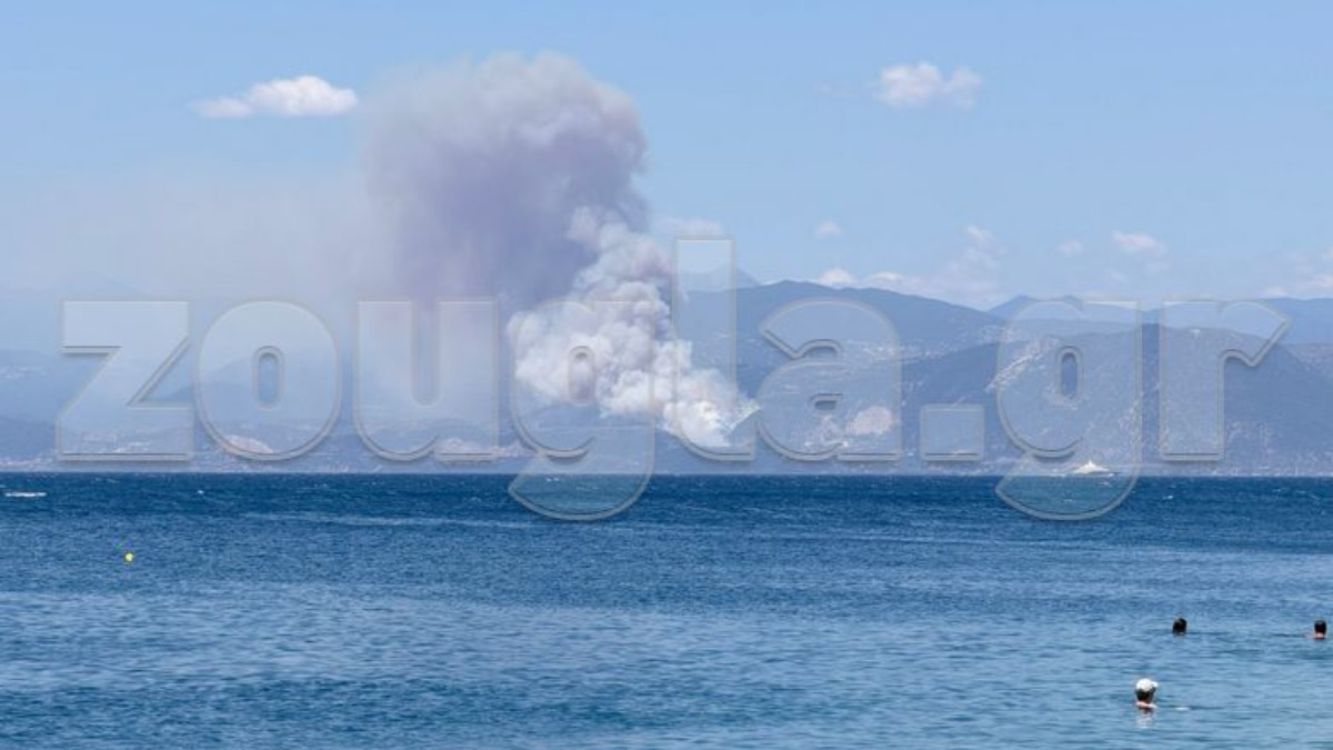 Φωτιά στην Ορεινή Ναυπακτία
