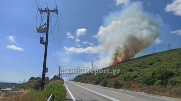 Πυρκαγιά στην Καμηλόβρυση Λαμίας