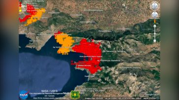 «Το μέγεθος της καταστροφής από την πυρκαγιά στη Βοιωτία είναι ασύλληπτο»