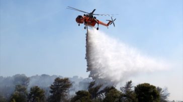 Πυρκαγιά στη Χαλκιδική