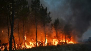 «Πορτοκαλί» προειδοποίηση για πυρκαγιά τη Δευτέρα σε Αττική, Βοιωτία και Εύβοια
