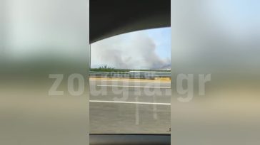 Μέγαρα: Η φωτιά έφθασε κοντά στην Εθνική Αθηνών – Κορίνθου