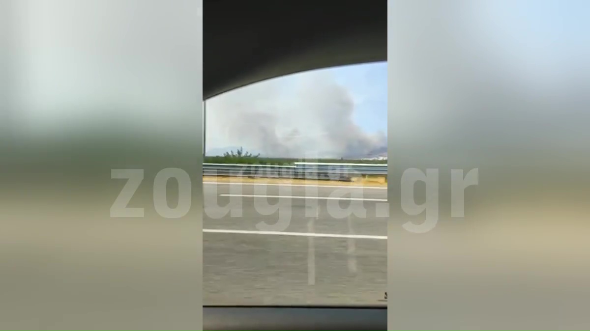 Μέγαρα: Η φωτιά έφθασε κοντά στην Εθνική Αθηνών – Κορίνθου