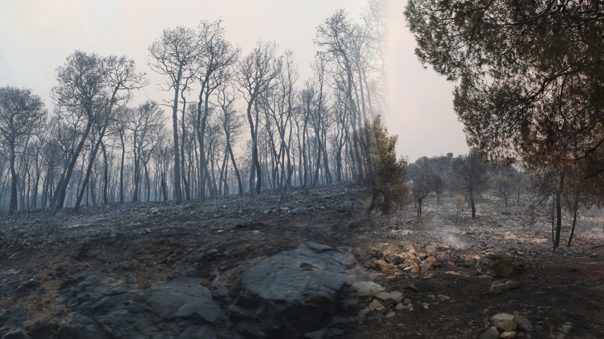 Στάχτη 111.700 στρέμματα από την πυρκαγιά στην Αττικοβοιωτία