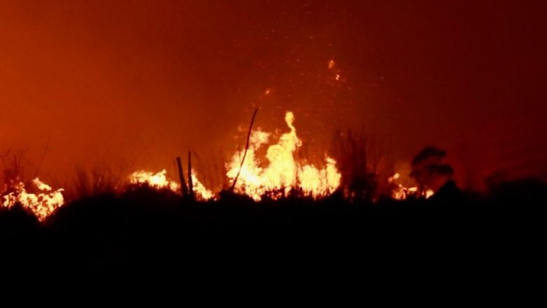 Αιγιαλεία: Η καμένη έκταση ανέρχεται σε 7.264 στρέμματα
